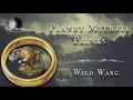 Download Lagu Wild Warg, Painting Tutorial