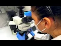 Download Lagu TÜV SÜD Microbiological Testing for Medical Devices