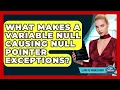 What Makes A Variable Null Causing Null Pointer Exceptions - Learn To Troubleshoot