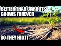 Download Lagu Better Than Carrots. Plant Once, Harvest Forever, Even In Winter.. That's Why They Buried It. MP3