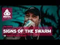 Download Lagu Brutal Assault 26 - Signs Of the Swarm (live) 2023