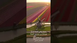 لأجلك أحيا شعر أم الجلندى الجامعية وإلقاء فراس السليمي  لأجلك أحيا شعر أم الجلندى الجامعية وإلقاء فراس السليمي