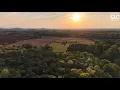270 Acres of Pure Alabama Legacy Land in Alpine Creek Pasture Hardwoods and Endless Opportunity