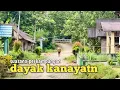Download Lagu Kampungnya indah warganya ramah-ramah, masih banyak rumah tua yang ditempati orang dayak