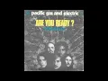 STAGGOLEE PACIDFIC GAS AND ELECTRIC (2026 MIX)