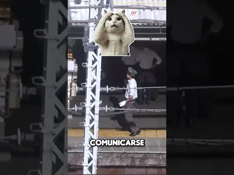 Si ves a un conductor haciendo esto no te asusten #shorts #datoscuriosos #noticias #sabiasque #news