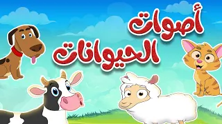 أنشودة أصوات الحيوانات للأطقال    قناة طم طم دندنها