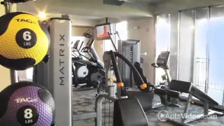 5 Thousand Town Apartments in Jacksonville FL - ForRent com