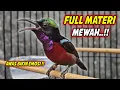Lagu SUARA BURUNG KOLIBRI NINJA GACOR FULL NEMBAK ISIAN MEWAH !! PANCINGAN KONIN BAHAN AGAR CEPAT EMOSI