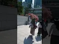 Download Lagu liburan ke Singapura dalam 1 hari, berangkat jam 7 pagi pulang jam 11 malam lewat johor, malaysia