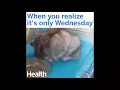When You Realize it s Only Wednesday Gif
