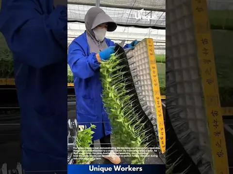 Greenhouse Gardening: Worker Removing Seedlings from Cell Tray