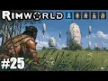 Download Lagu Gniazdo Mechanoidów - Rimworld z modami #25