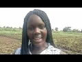 MUST TRY | South Sudan's MOUTH-WATERING Bamia Tabikh Dish! | FARM2TABLE Series.