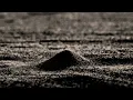 Caroline Shaw & Attacca Quartet - And So (Official Video)
