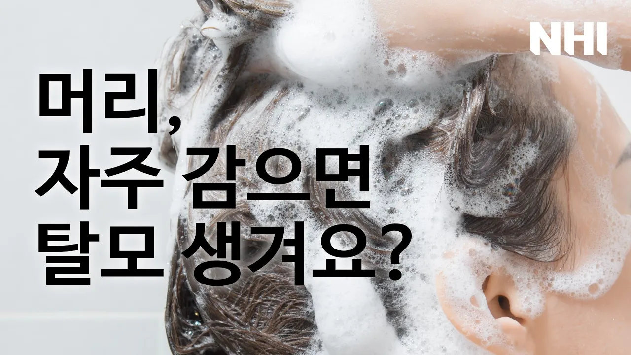 머리를 자주 감으면 탈모가 생길까요? 뉴헤어 [모발이식][모발이식후기]