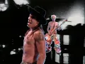 Red Hot Chili Peppers | Higher Ground | Music Video | 4K60