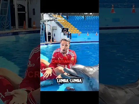 Doggy dan Unta menirukan Ronaldo tapi Lumba-lumba ini! 😂🐬⚽