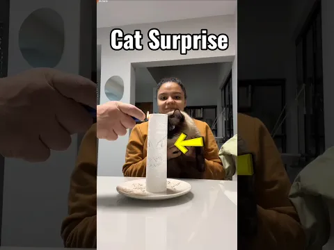 Gave special gift to the cat on his birthday 🎂😍