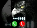 Lagu Eagle ringtone #new eagle ringtone #viral eagle ringtone #trending ringtone #viral ringtone #bgmi