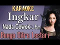 Download Lagu Ingkar (Karaoke) Bunga Citra Lestari (BCL) Nada Pria/ Cowok/ Male key Fm