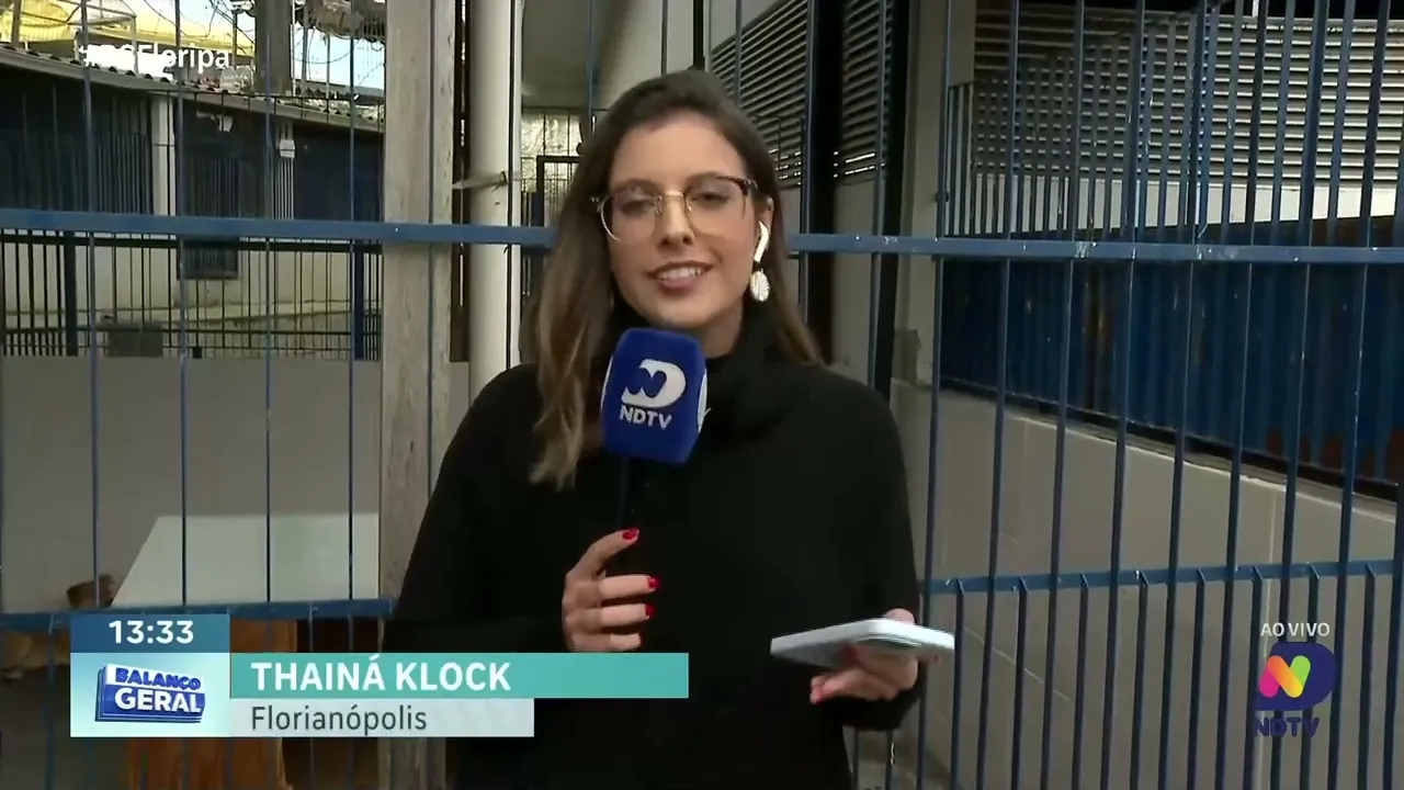 Adotar é Animal: mais de 200 pets esperam por uma família na DIBEA