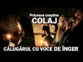 Download Lagu COLAJ - CELE MAI FRUMOASE PRICESNE 2024 | O VOCE DE ÎNGER