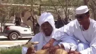 فيديو روعة للشاعر عبدالله ود ادريس الكباشي  فيديو روعة للشاعر عبدالله ود ادريس الكباشي