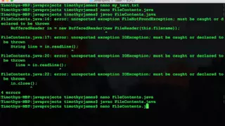 Java13 Reading Files in Java