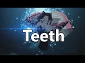 Lagu Demon Slayer/Kimetsu no Yaiba [AMV] - Teeth (5sos)