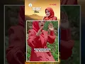 Download Lagu Beurat - Nina | Lirik Pop Sunda Terbaru 2024 - Jejak Nada