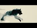 Biffy Clyro - Wolves Of Winter (Official Video)