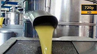 مراحل عصر واستخلاص زيت الزيتون فيديو رائع 