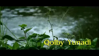 Download Sholatullahi Malahat Kawakib | Kang Jainul | Qolby Yunadi MP3