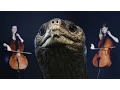 Download Lagu Lonesome George (A Musical Memorial) | SKUNK BEAR