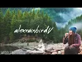 Ultimate Wanderlust 🌲 - An Indie/Folk/Pop Playlist