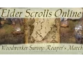 Woodworker Survey Reaper s March Elder Scrolls Online