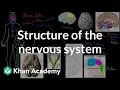 Structure of the nervous system Organ Systems MCAT Khan Academy