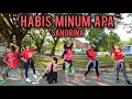 Download Lagu DJ HABIS MINUM APA - SANDRINA REMIX TERBARU