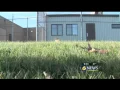 Renovations planned for Jefferson County Jail
