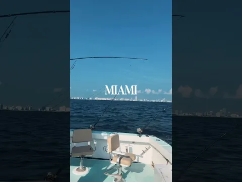 Miami! 🏛️