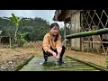 Lagu Single mother rebuilds a simple new life. Tieu Chuc