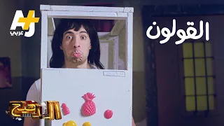 الدحيح القولون  الدحيح القولون
