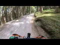 Uphill on Vector Vortex in forest