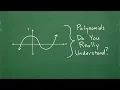 Polynomials - The BIG PICTURE you need know