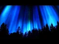 Download Lagu Mystical Forest | 1 Hour Of Relaxing Nighttime Enchanting Nature Sounds | To Help You Sleep At Night