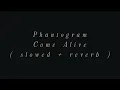 Phantogram - Come Alive (slowed + reverb)