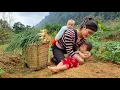 Download Lagu Looking back to the days when the single girl harvested everything to sell to raise her two children