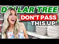 The Dollar Tree Aisle Everyone s Been Ignoring Until NOW