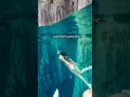 Throwback to the Adult Swim Trend in the Clearest Water in the World Palawan Philippines